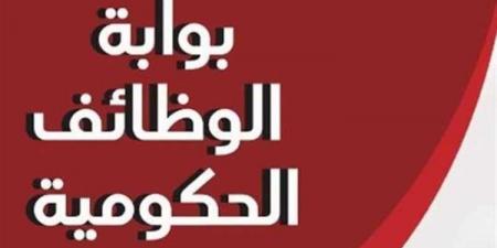 تعيينات حكومية.. فرصة ذهبية للعمل في هذه الأماكن بمرتبات مجزية - بلس 48