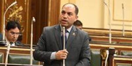 النائب عمرو درويش: مشروع قانون تنظيم أملاك الدولة الخاصة خطوة مهمة لتحقيق التصالح وتقنين الأوضاع.. ويجب الإسراع في إصدار لائحته التنفيذية - بلس 48