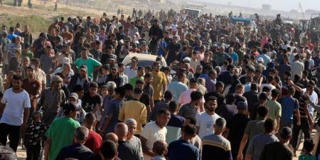 ارتفاع عدد الشهداء من الصحفيين في غزة برصاص إسرائيل لـ228 صحفيا - بلس 48