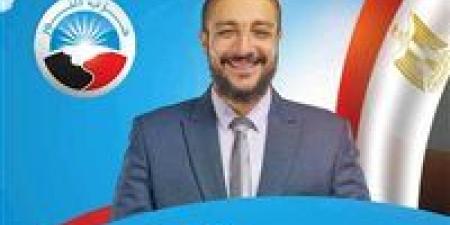 القضاء الإداري يحسم مصير مرشح حزب النور محمد شكري من انتخابات مجلس الشيوخ بالقاهرة اليوم - بلس 48