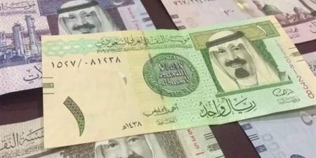تعرف على سعر صرف الريال السعودى فى البنوك المصرية منتصف تعاملات اليوم - بلس 48