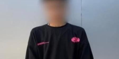ضبط أحد الأشخاص لاصطدامه بميكروباص ماتسبب في انقلابه وإصابة عدد من مستقليه - بلس 48