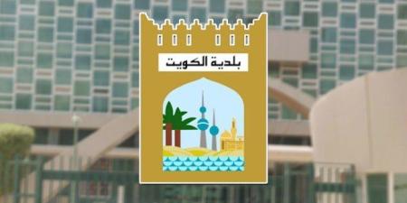الكويت.. «البلدية»: إنجاز 117 معاملة خلال شهر يونيو الماضي - بلس 48