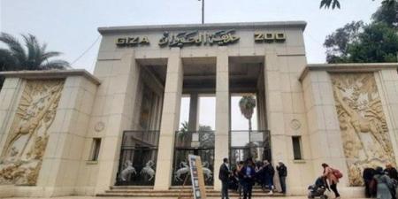 موعد افتتاح حديقة الحيوان أمام الزوار.. «الزراعة» تكشف عن مفاجأة لـ المواطنين - بلس 48