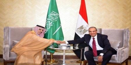 وزير الخارجية المصري: لن تنجح أي محاولات يائسة للإساءة للعلاقات التاريخية بين مصر والسعودية - بلس 48
