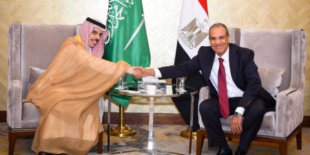 وزير الخارجية خلال لقائه بنظيره السعودي: نرفض أي محاولات يائسة للمساس بالعلاقات التاريخية المصرية - السعودية - بلس 48