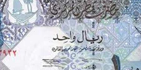 استقرار سعر الريال القطري أمام الجنيه المصري اليوم الجمعة ويسجل بالبنك المركزى 13.53 جنيها - بلس 48