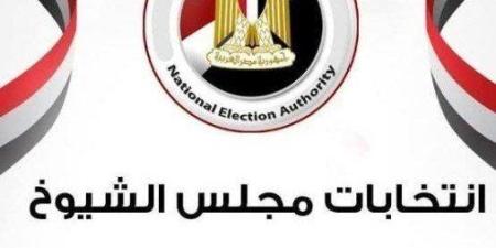 مصر.. إعلان القائمة النهائية لمرشحي مجلس "الشيوخ" بـ 428 مرشحًا واستبعاد 41 بقرارات قضائية - بلس 48