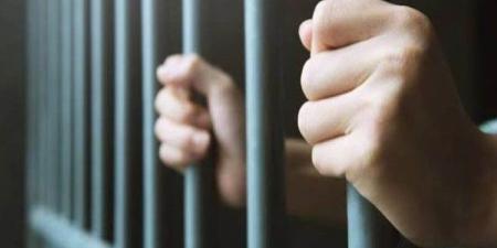 بسبب كارت شحن.. السجن المشدد 15 سنة لعامل ونجله شرعوا في قتل تاجر بالبحيرة - بلس 48