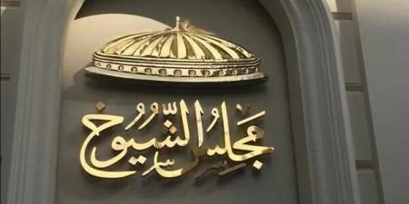 اليوم.. الوطنية للانتخابات تعلن القائمة النهائية لمرشحي الشيوخ وبدء الدعاية الانتخابية - بلس 48