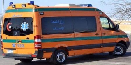 بسبب تهور السائق.. إصابة 11 شخص بينهم أطفال إثر انقلاب ميكروباص بالمنيا - بلس 48
