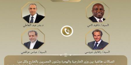 مصر.. وزير الخارجية يواصل اتصالاته المكثفة لخفض التصعيد بالمنطقة - بلس 48