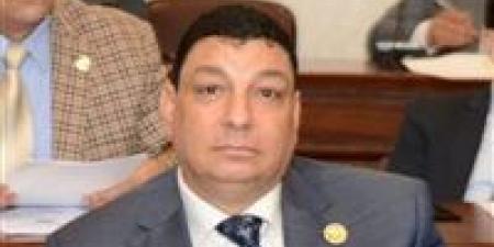 سامي نصر الله: توجيهات الرئيس بشأن الأمن الغذائي ترسم خارطة طريق لتحقيق الاكتفاء الذاتي وتعزيز الأمن القومي - بلس 48
