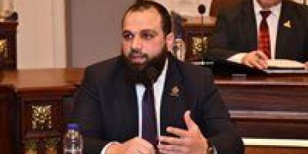 «النور»يختار النائب «محمود تركي» متحدثًا رسميًا باسم حملة الحزب لانتخابات مجلس الشيوخ - بلس 48