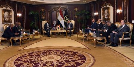 وزير الداخلية يستقبل نظيره بجمهورية القُمر المُتحدة  لبحث أوجه التعاون الأمنى - بلس 48