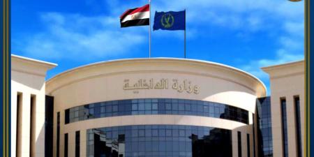 الداخلية: قيادات حركة حسم الجناح المسلح لجماعة الإخوان الإرهابية تخطط لمعاودة إحياء نشاطها لاستهداف المنشأت الأمنية والاقتصادية - بلس 48