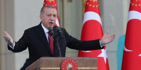 أردوغان: إسرائيل تعتقد بأن سوريا موحدة لن تكون في صالحها ولن نترك الشرع وحيدا - بلس 48
