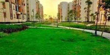 الإسكان الأخضر يدخل الخدمة.. الشقق الخضراء تنهي أزمة السكن - بلس 48
