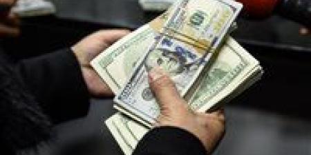 سعر الدولار مقابل الجنيه المصري اليوم الأربعاء 23 يوليو - بلس 48