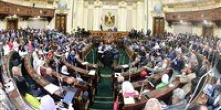 برلماني: الرئيس يُكمل مسيرة بناء مصر التي بدأتها ثورة 23 يوليو - بلس 48