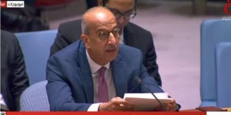 مندوب مصر بالأمم المتحدة: استمرار إسرائيل انتهاك سيادة الدول العربية خطر على الأمن الجماعي إقليميا ودولياً - بلس 48
