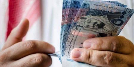 أسعار الريال السعودي في مصر بختام التعاملات اليوم.. الجمعة 25 يوليو 2025 - بلس 48