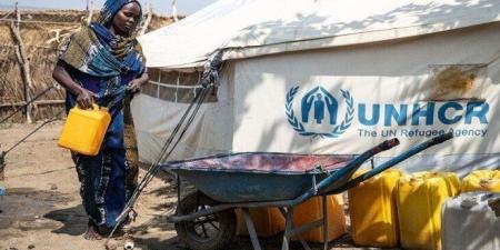 الفاشر السودانية تحت وطأة المجاعة وسط انهيار تام للخدمات وتحذيرات من كارثة إنسانية - بلس 48
