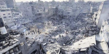 ارتفاع حصيلة عدوان الاحتلال الإسرائيلي على غزة إلى 59733 شهيدا و144477 جريحا - بلس 48