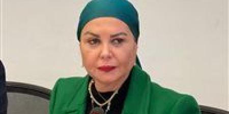 النائبة أمل سلامة عن دعوات التجمهر أمام سفارات مصر بالخارج: تدعو الفوضي الخلاقة مثل ما حدث في 25 يناير من دعوات فصيل الإخوان - بلس 48