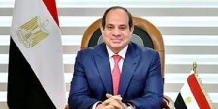 الرئيس السيسي يشدد على تسريع وتيرة تنفيذ مشروعات إنشاء المحاور اللوجستية التنموية المتكاملة - بلس 48
