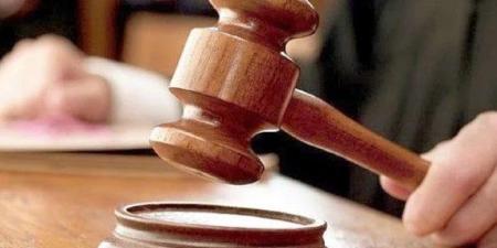 بعد قليل.. استكمال محاكمة 17 متهمًا في قضية خلية العجوزة الثانية - بلس 48