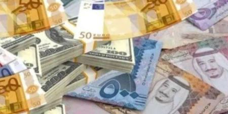 أسعار العملات العربية والأجنبية في مصر اليوم.. الأثنين 28 يوليو 2025 - بلس 48