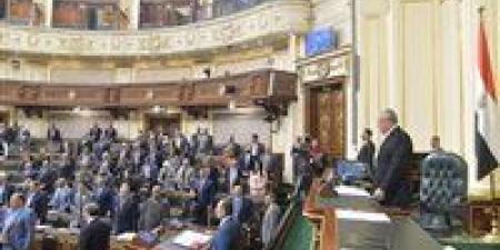 خارجية النواب: كلمة الرئيس السيسي تؤكد على رفض التهجير وأن مصر لا تتاجر بالقضية الفلسطينية - بلس 48