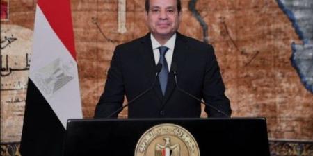 الرئيس السيسي: حرصنا على المشاركة الإيجابية مع قطر وأمريكا لإيقاف الحرب وإدخال المساعدات لغزة - بلس 48