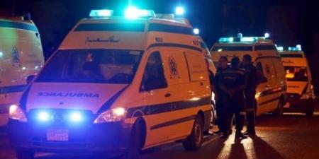 مصرع غفير نظامي وإصابة آخر في حادث تصادم دراجتين ناريتين بالفيوم - بلس 48