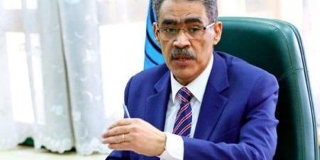 ضياء رشوان: الأصوات التي تهاجم مصر لا تبحث عن الحقيقة بل عن التحريض - بلس 48