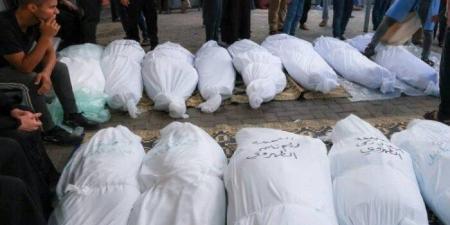 ارتفاع حصيلة الشهداء في غزة إلى 59 ألفا و921 والإصابات إلى 145 ألفا و233 منذ بدء العدوان - بلس 48