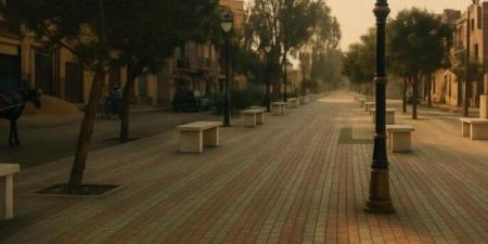 تنفيذ مشروعات باعتمادات 890 مليون جنيه في بني سويف - بلس 48