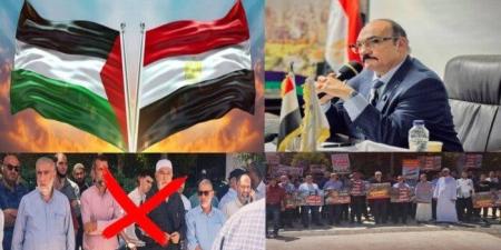 أستاذ علوم سياسية: تظاهرات «الإخوان الإرهابية» أمام سفارة مصر في تل أبيب خيانة صريحة واصطفافا مفضوحا مع العدو - بلس 48