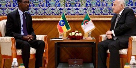 الجزائر وإثيوبيا تبحثان تطورات الأوضاع الإقليمية - بلس 48