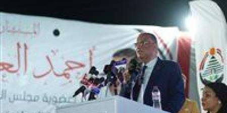 محمود مسلم من مؤتمر سوهاج: مصر لا تقبل بالإملاءات.. والسيسي يقود موقفا وطنيا مشرفا في دعم فلسطين سيتوقف التاريخ عنده كثيرا - بلس 48
