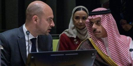 الخارجية الفرنسية: نشكر السعودية على جهدها في إنجاح مؤتمر حل الدولتين - بلس 48