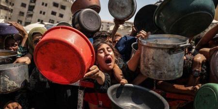 "هيومن رايتس ووتش": نظام المساعدات الإسرائيلي في غزة تحوّل إلى مصيدة للموت - بلس 48