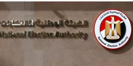 انتخابات الشيوخ 2025.. سفير مصر بأثيوبيا: التصويت فى أديس أبابا يسير بشكل جيد - بلس 48