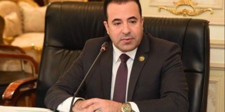 اتصالات النواب: ضوابط خاصة لـ التيك توك تتماشى مع القيم المصرية - بلس 48