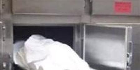 مقتل ربه منزل على يد زوجها في ظروف غامضة بمنطقه السيليين بالفيوم - بلس 48