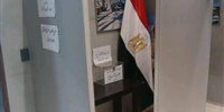 فتح باب الاقتراع للمصريين في إندونيسيا ولاوس وفيتنام وتايلاند للتصويت في انتخابات مجلس الشيوخ لليوم الثاني - بلس 48