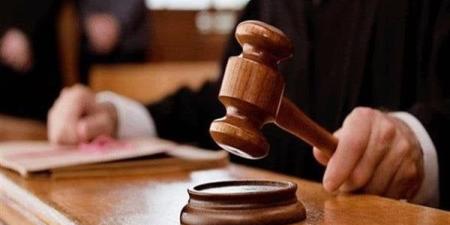 تأجيل محاكمة 3 متهمين في قضية «خلية الجبهة» لهذا الموعد - بلس 48