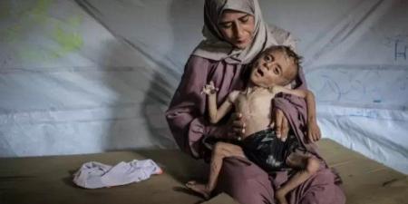 ارتفاع حصيلة ضحايا التجويع في غزة إلى 169 شهيدا - بلس 48
