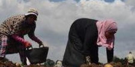 تعاون مشترك بين "المعمل المركزي للزراعة العضوية" و"المركز المصري للزراعة الحيوية" لنشر ثقافة الزراعة العضوية - بلس 48